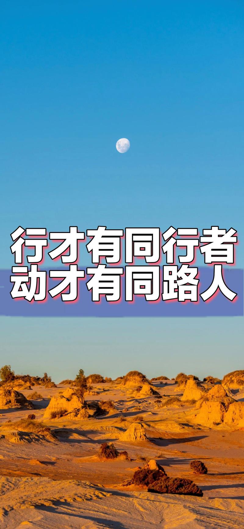 同路人教育